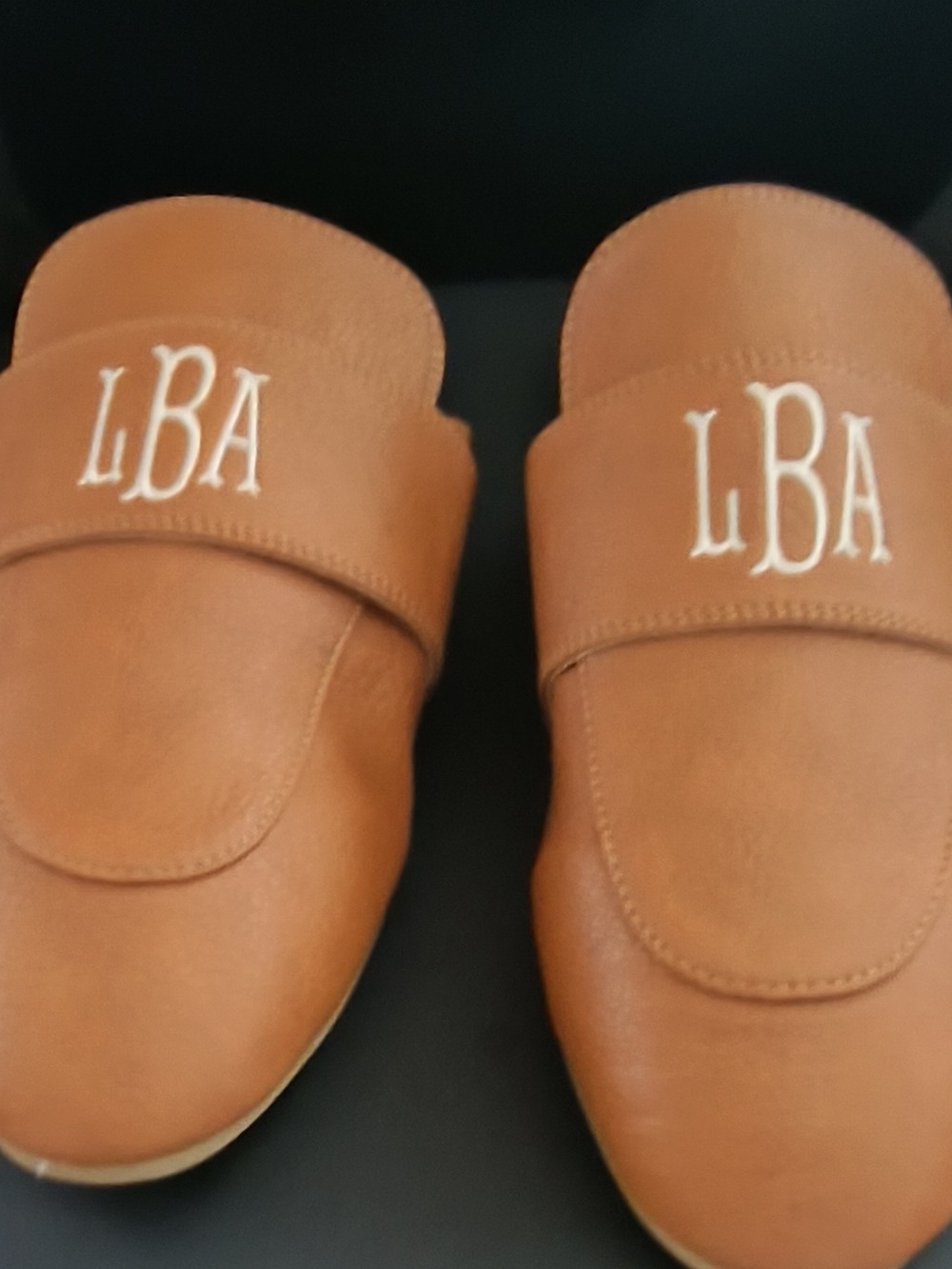 Tan Leather Slip-On Loafers for Men